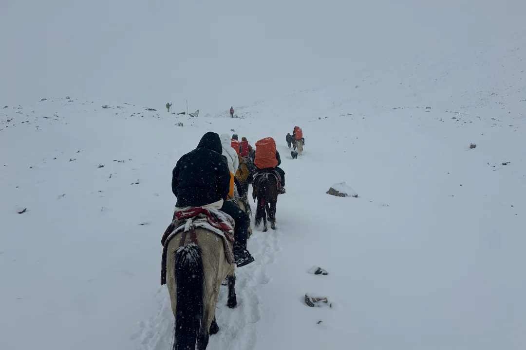 horse ride in annapurna circuit trail