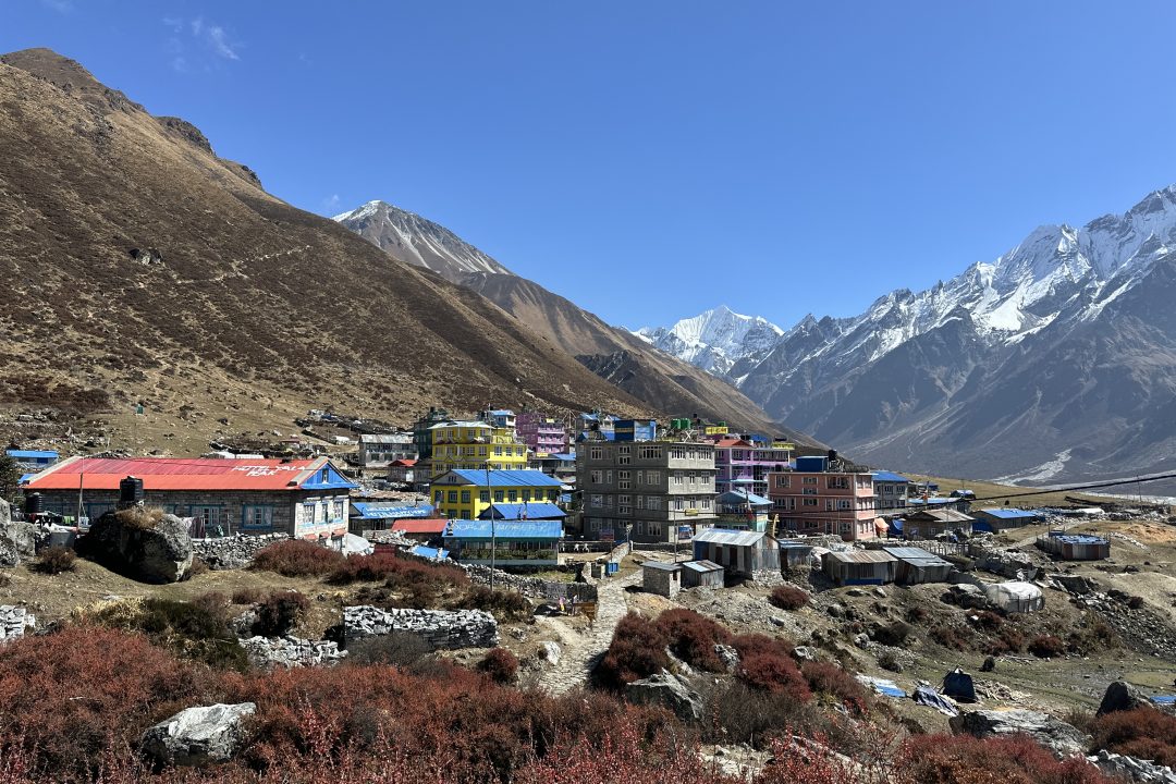 Langtang valley