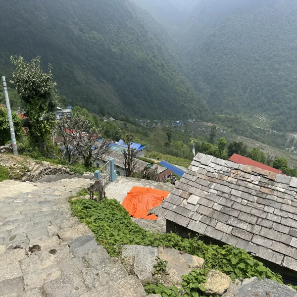 Stone stair trail descending through Chhomrong village with traditional slate-roof houses, green hills, and deep forested valleys in the Annapurna region of Nepal.
