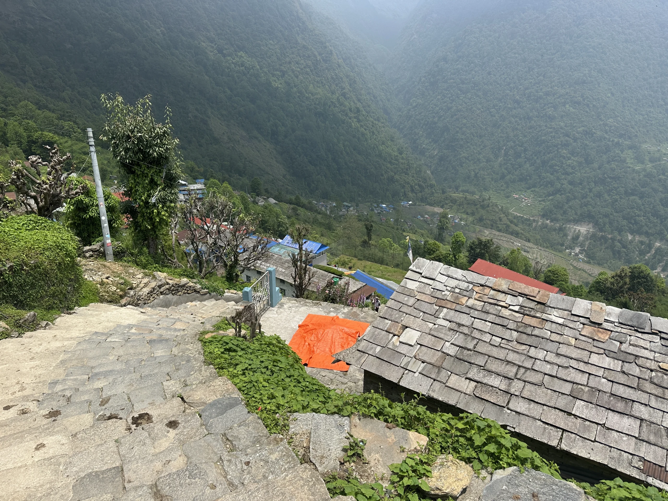 Stone stair trail descending through Chhomrong village with traditional slate-roof houses, green hills, and deep forested valleys in the Annapurna region of Nepal.